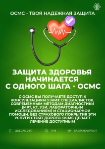 WhatsApp Image 2025-12-12 at 13.25.15 (1)